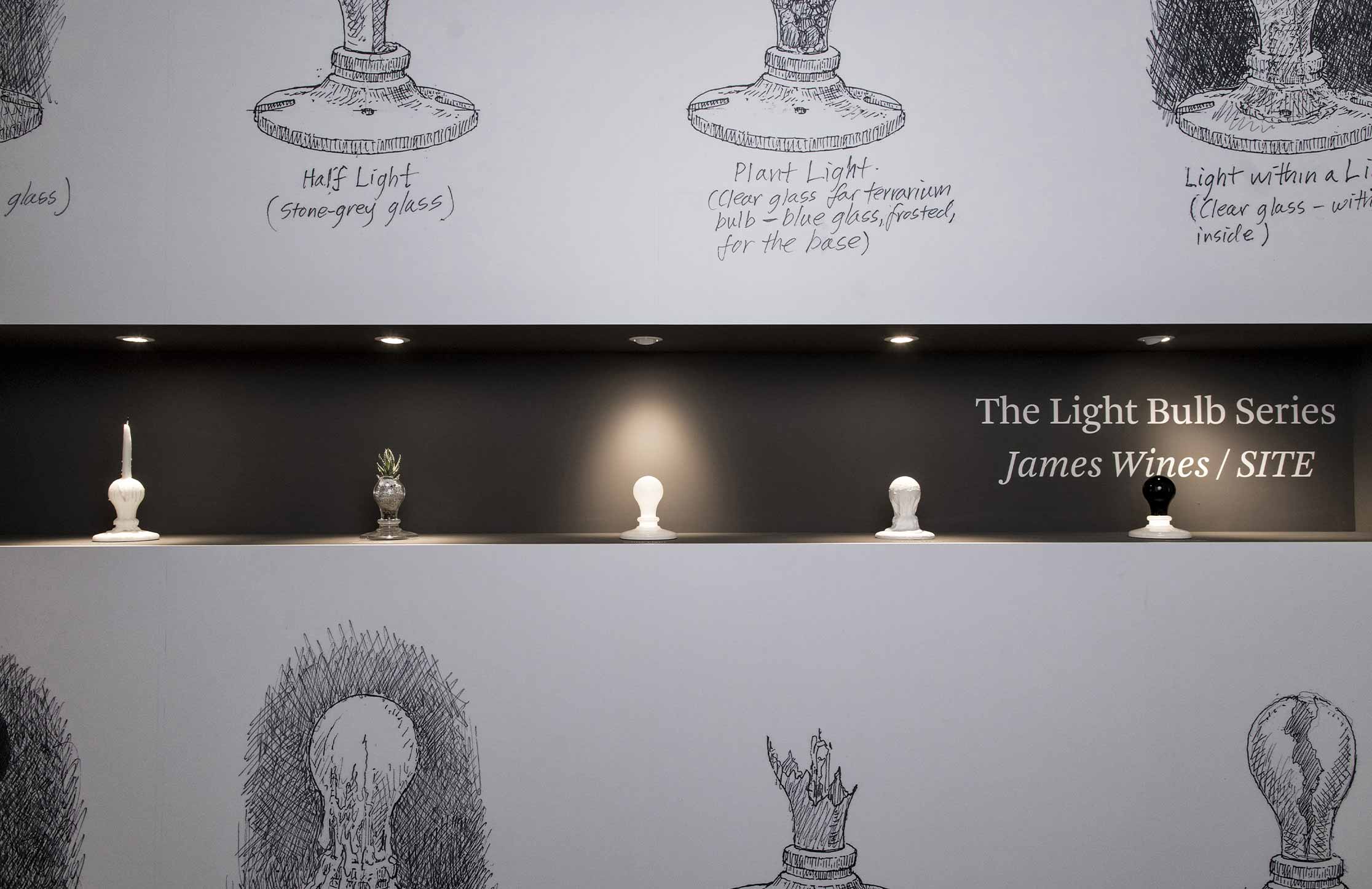 The Light Bulb Series